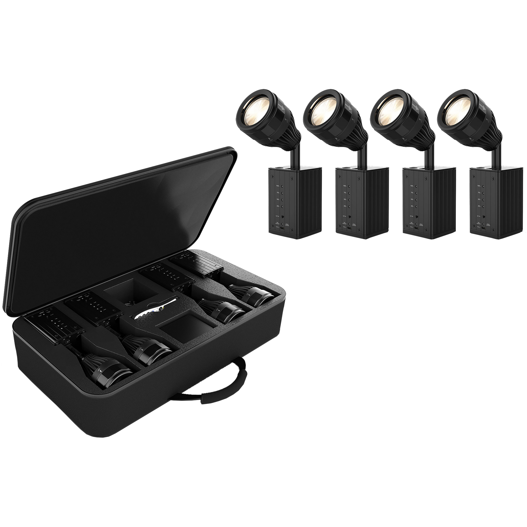 Chauvet DJ Ezpin Zoom Pack Pinspots