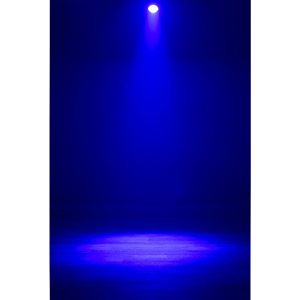 ADJ Lighting Dotz Par RGBL