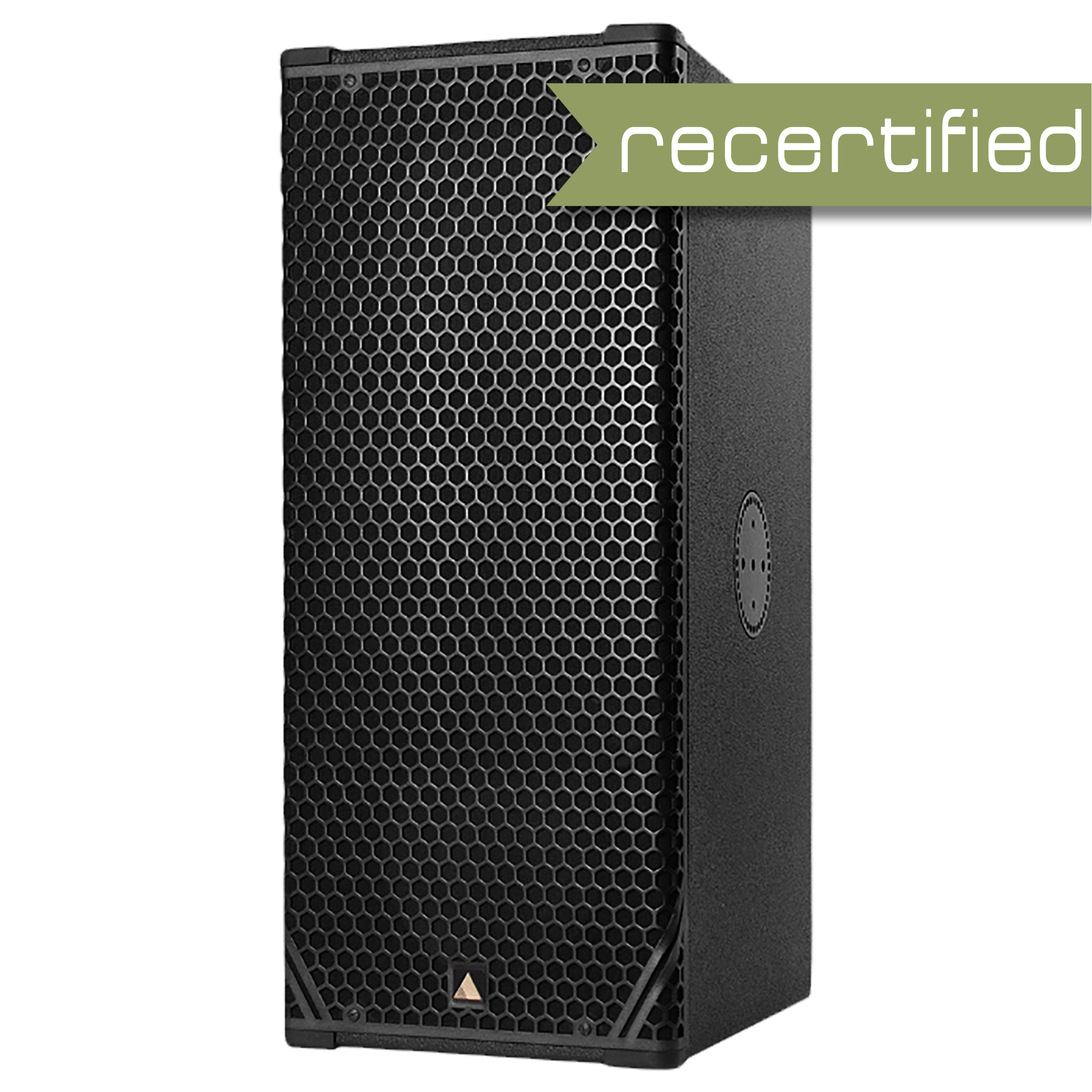Adamson CS10P 100° x 50° Point Source Loudspeaker