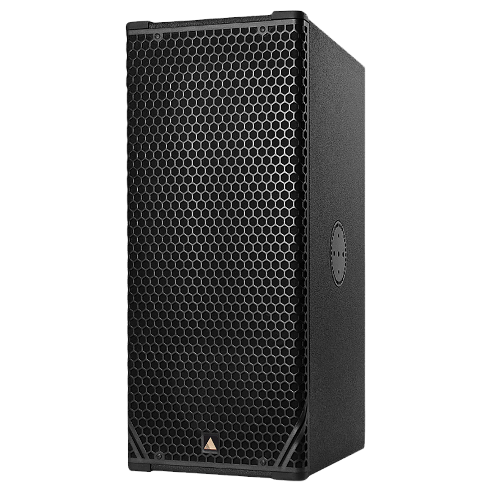 Adamson CS10p Active Point-Source Loudspeaker