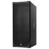 Adamson CS10p Active Point-Source Loudspeaker