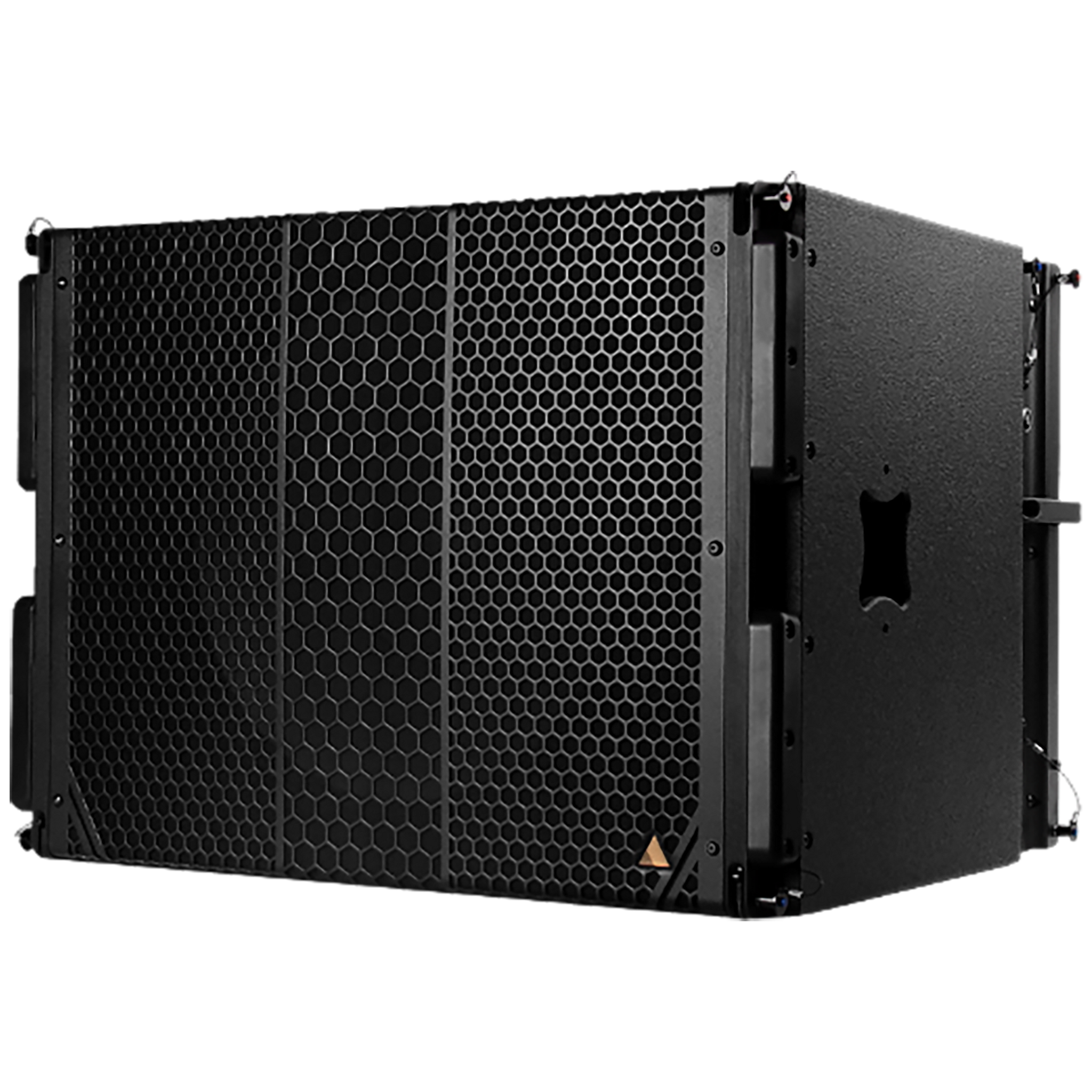 Adamson CS119 Subwoofer