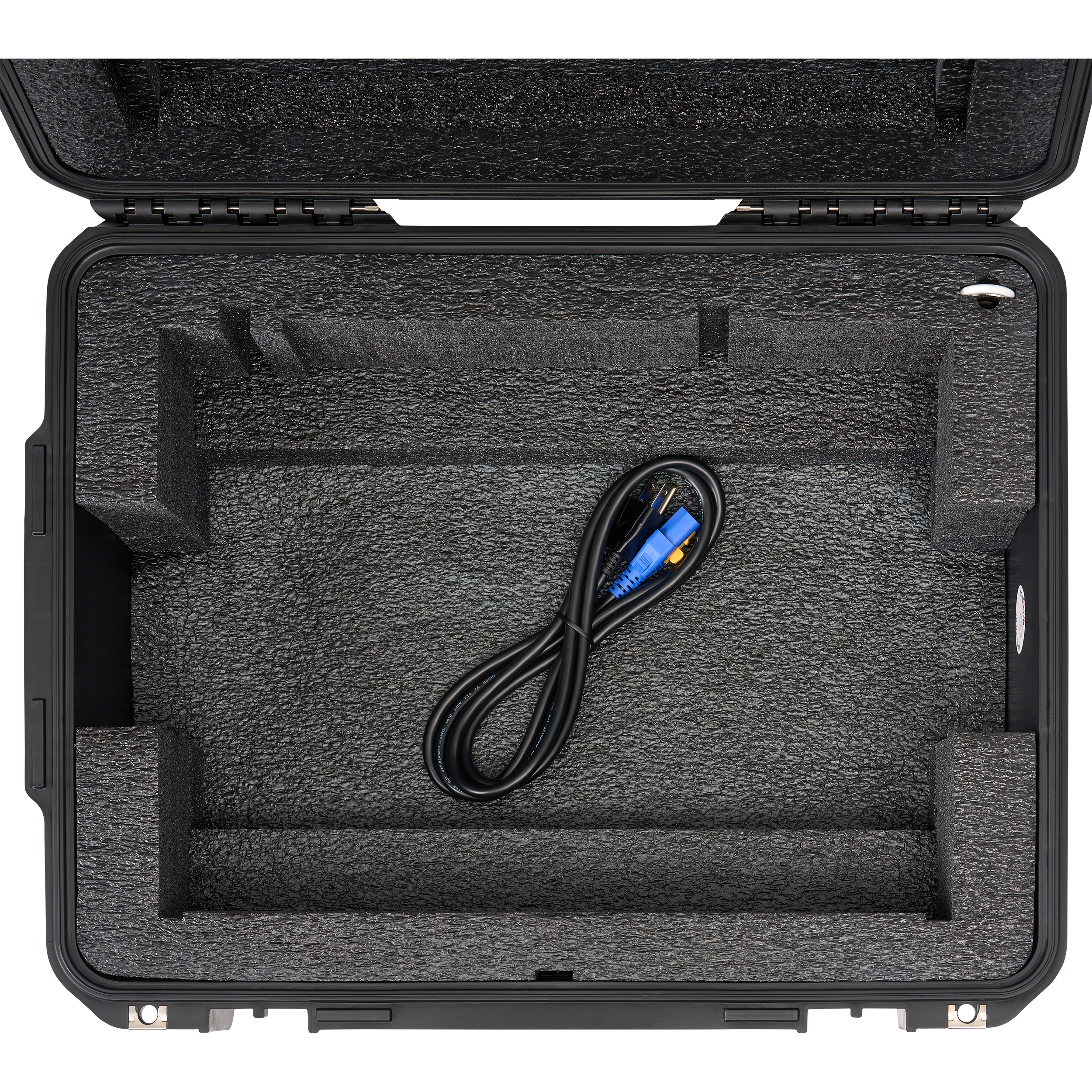 BYFP ipCase for AlphaTheta Euphonia