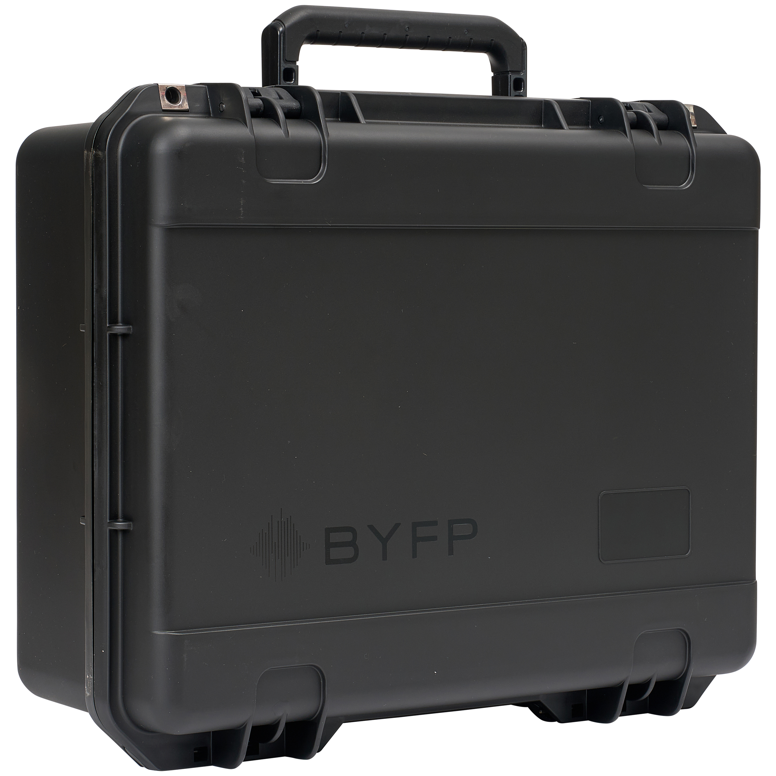 BYFP ipCase for AlphaTheta Euphonia