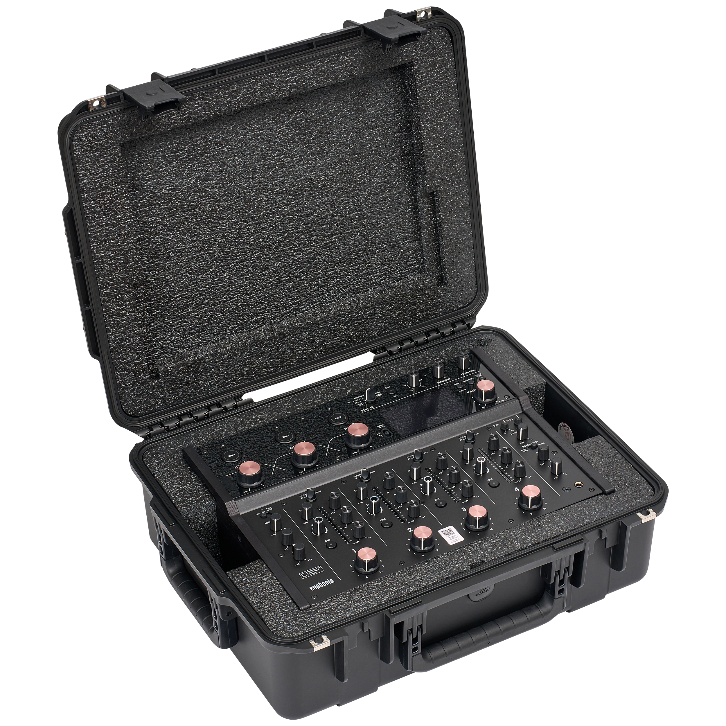 BYFP ipCase for AlphaTheta Euphonia