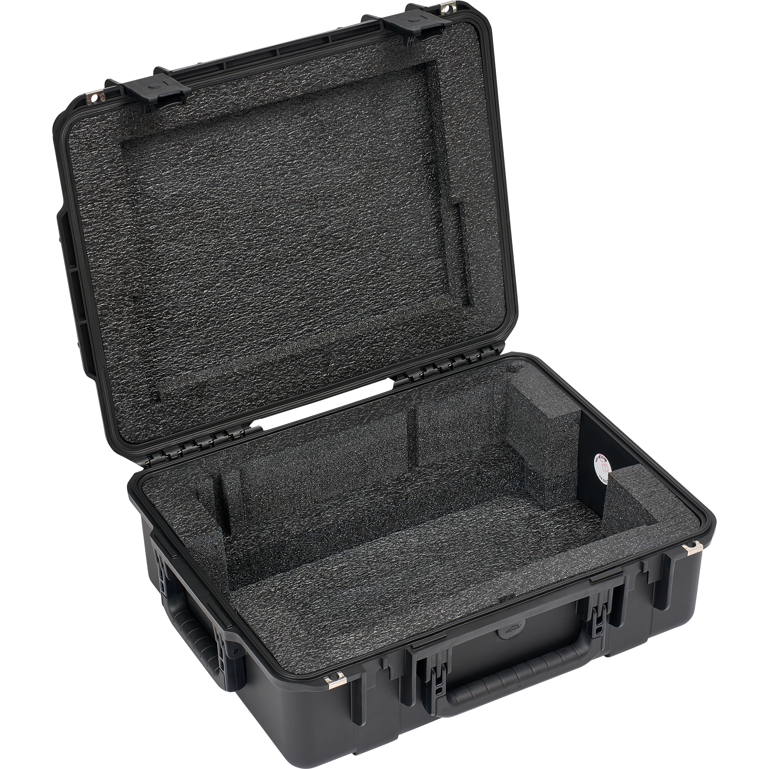 BYFP ipCase for AlphaTheta Euphonia