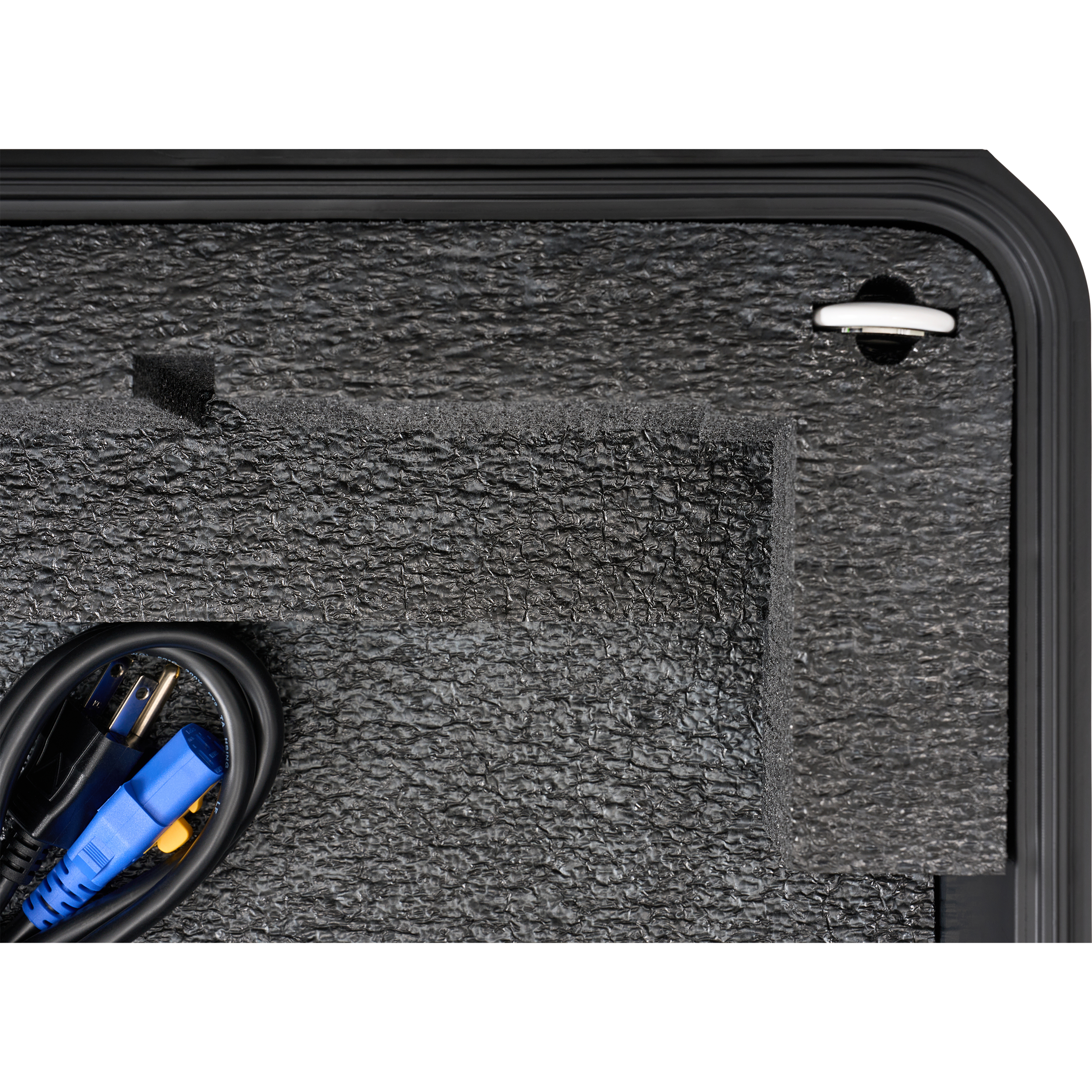 BYFP ipCase for AlphaTheta Euphonia