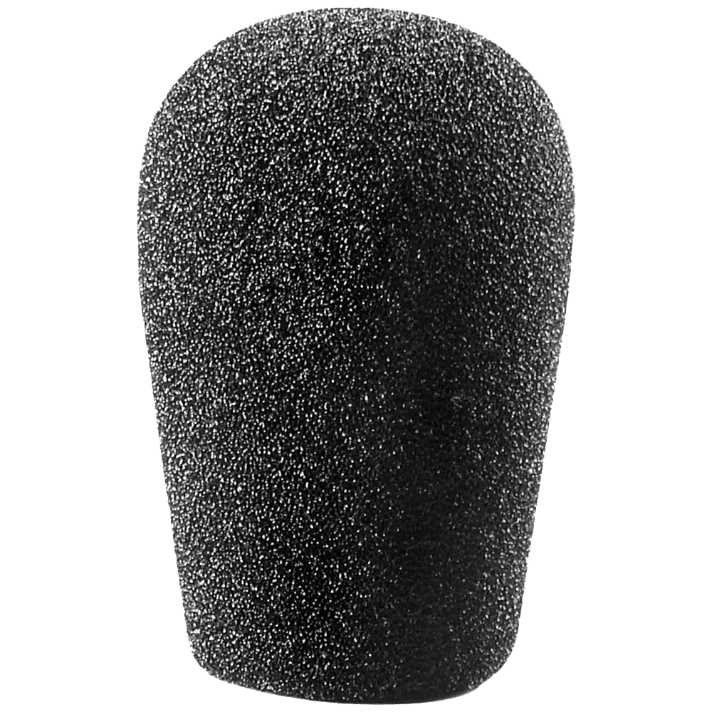 Audio-Technica AT4021 Cardioid Condenser Microphone