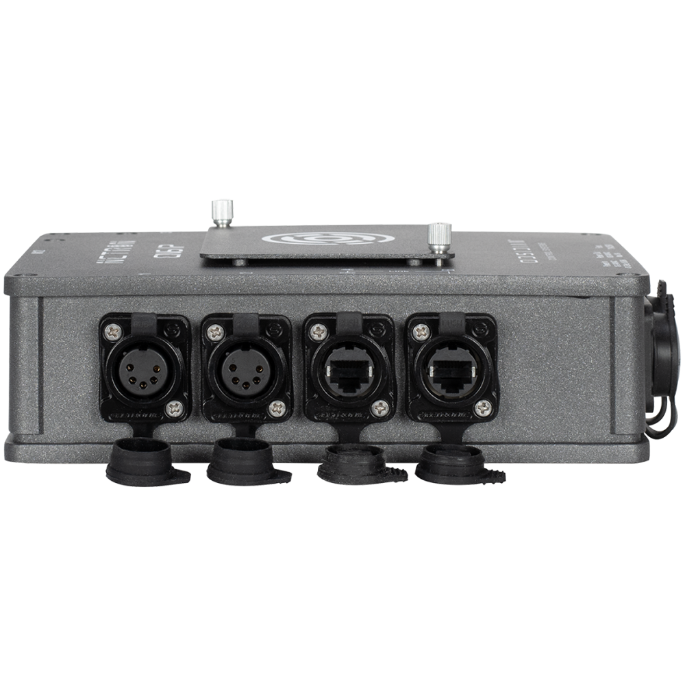 Obsidian Netron EN6 IP Node