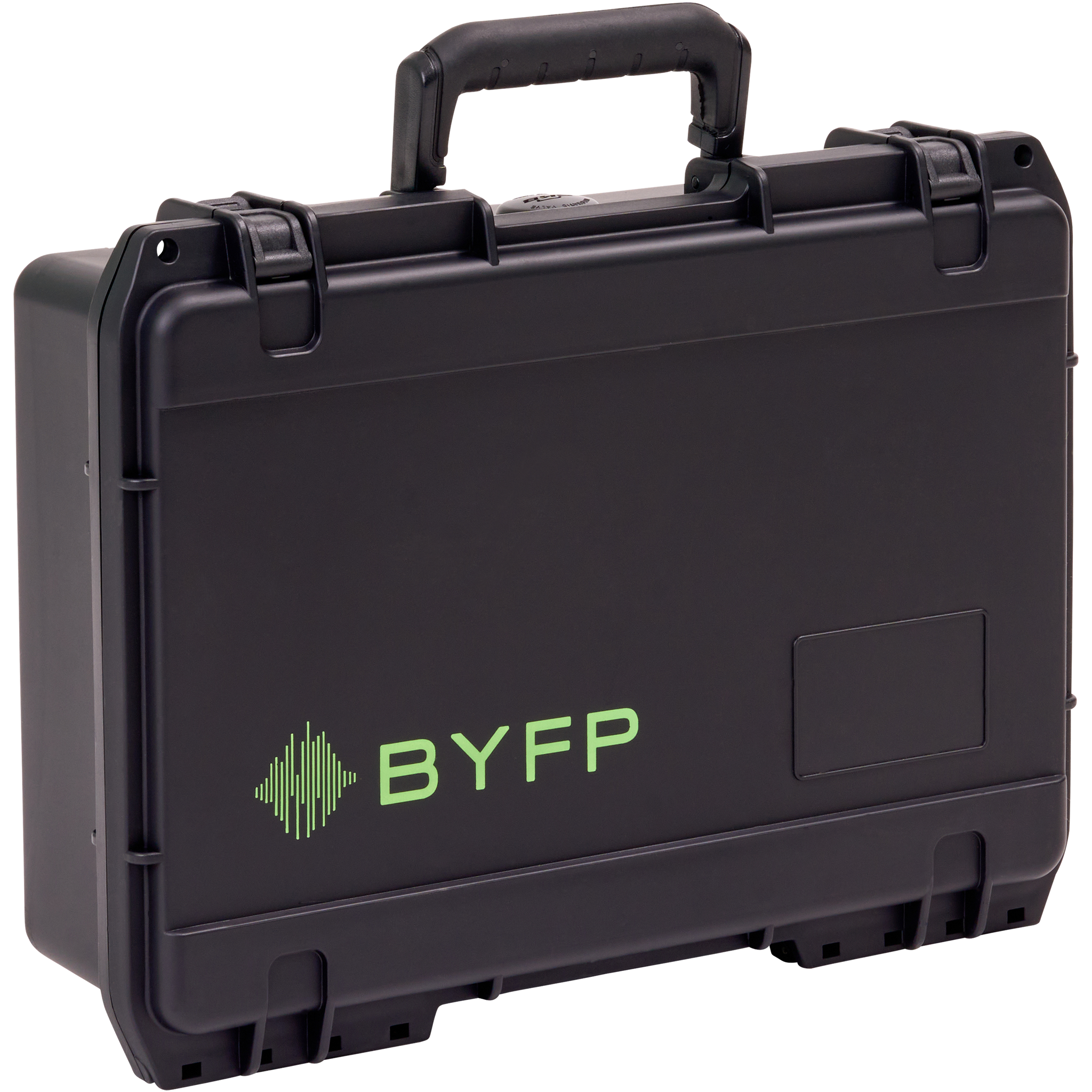 BYFP ipCase for 2x Shure SM81 Instrument Microphones