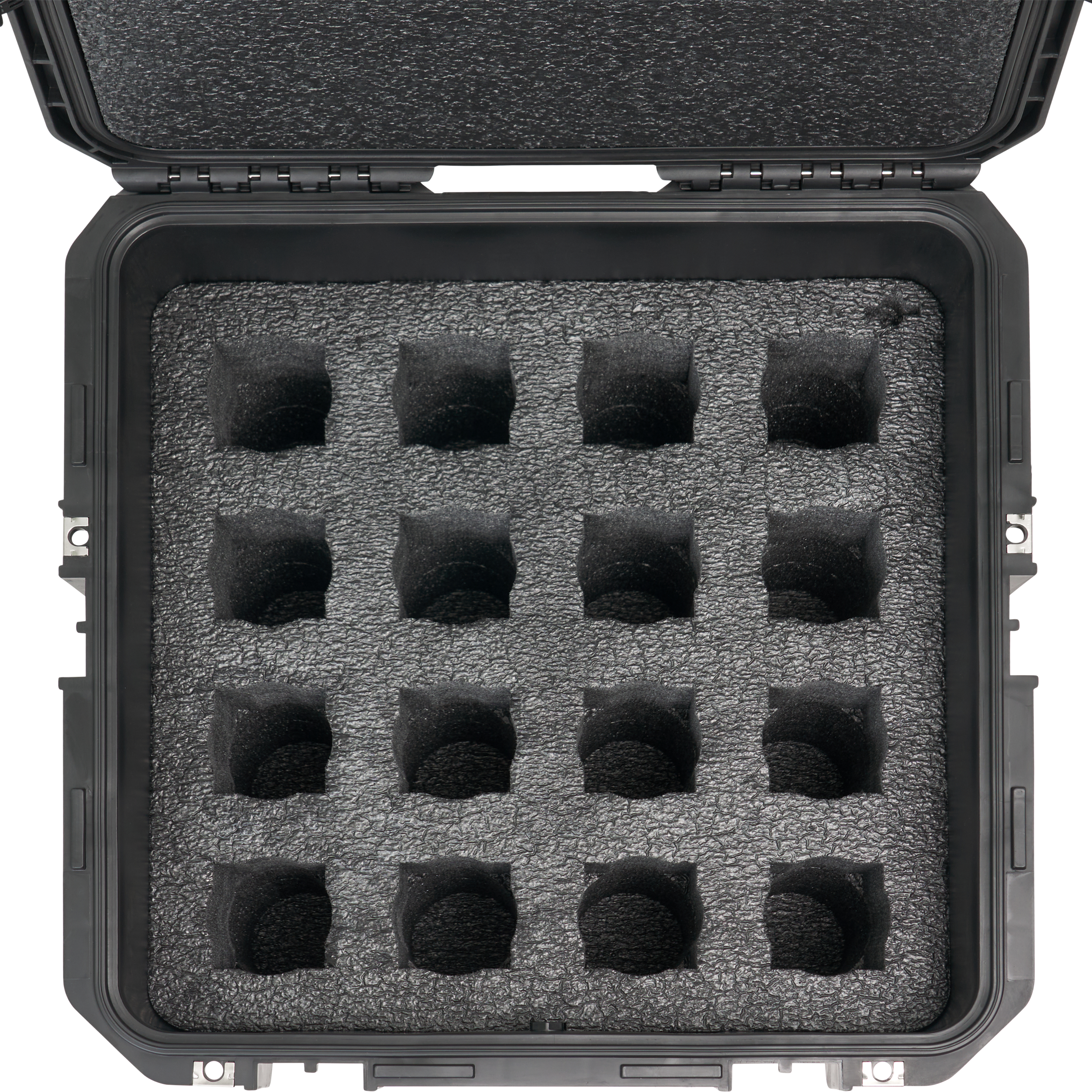 BYFP ipCase for 16x Chauvet EZPin